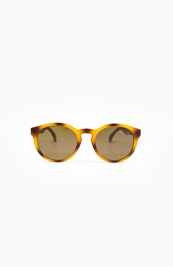 Oculos de sol Rocksolid Cork